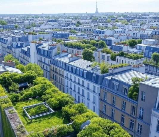 Paris wird grün – Realität oder Wunschdenken? Grüne_Dächer_Paris_Illustration