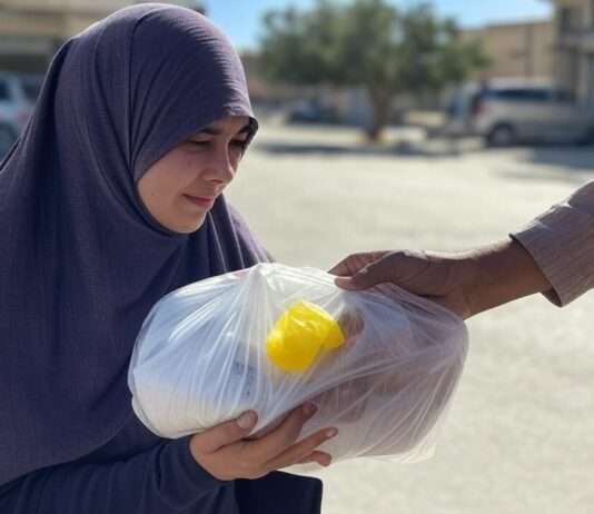 Israel verschärft Vorschriften für Hilfsorganisationen in den Palästinensergebieten NGO_Hilfe_Gaza_Palästina_Illustration