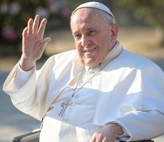 Papst Franziskus: Ein ökologisches Vermächtnis für die Welt Papst_Franziskus_Rollstuhl_Winken_Illustration