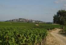 Berry – Frankreichs charmante Region zwischen Tradition und Genuss Berry_Sancerre