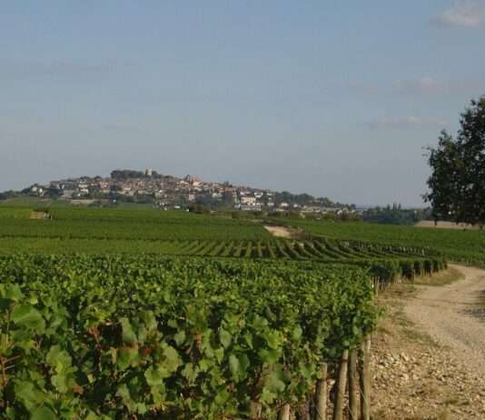 Berry – Frankreichs charmante Region zwischen Tradition und Genuss Berry_Sancerre
