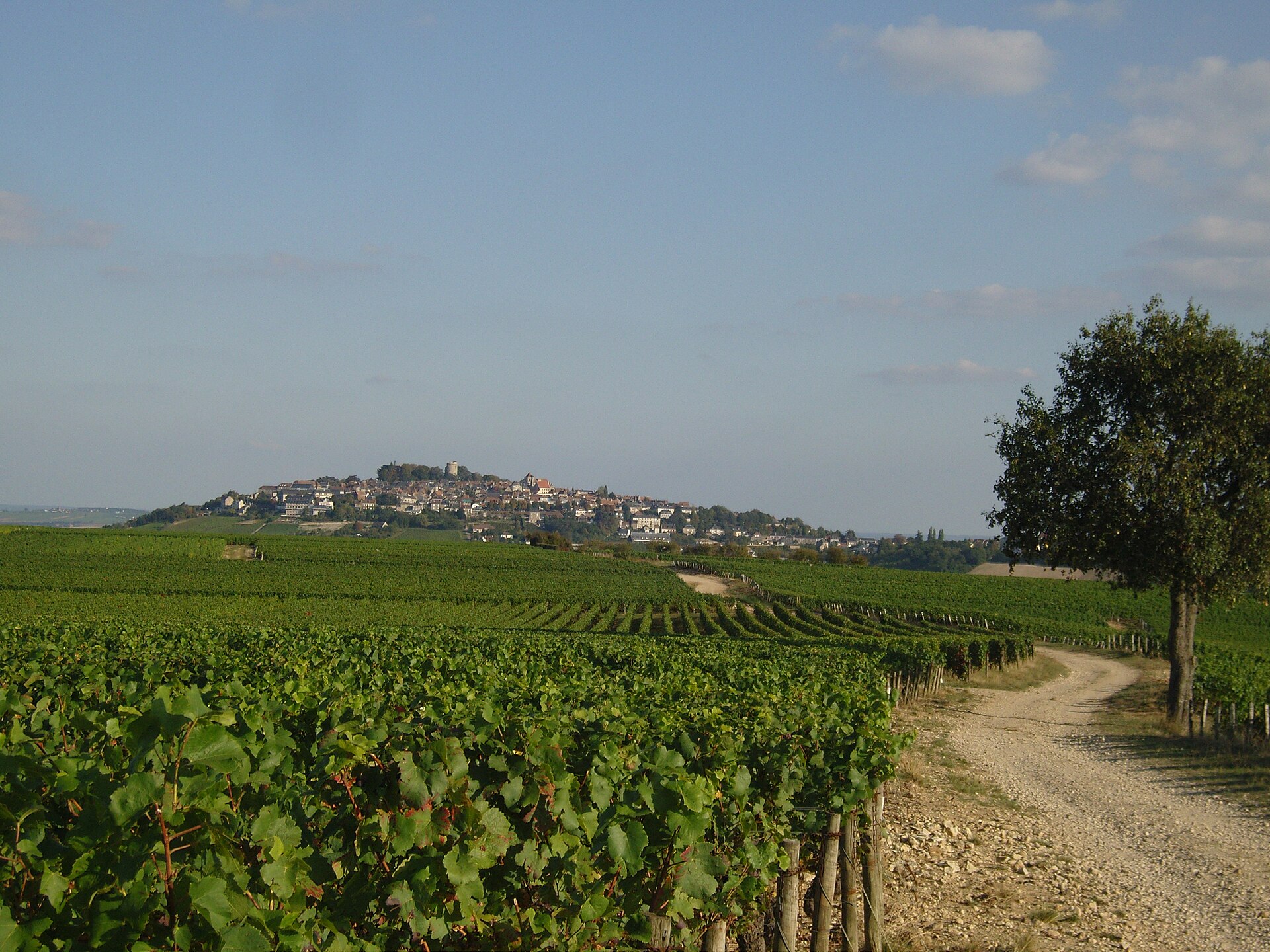 Berry – Frankreichs charmante Region zwischen Tradition und Genuss