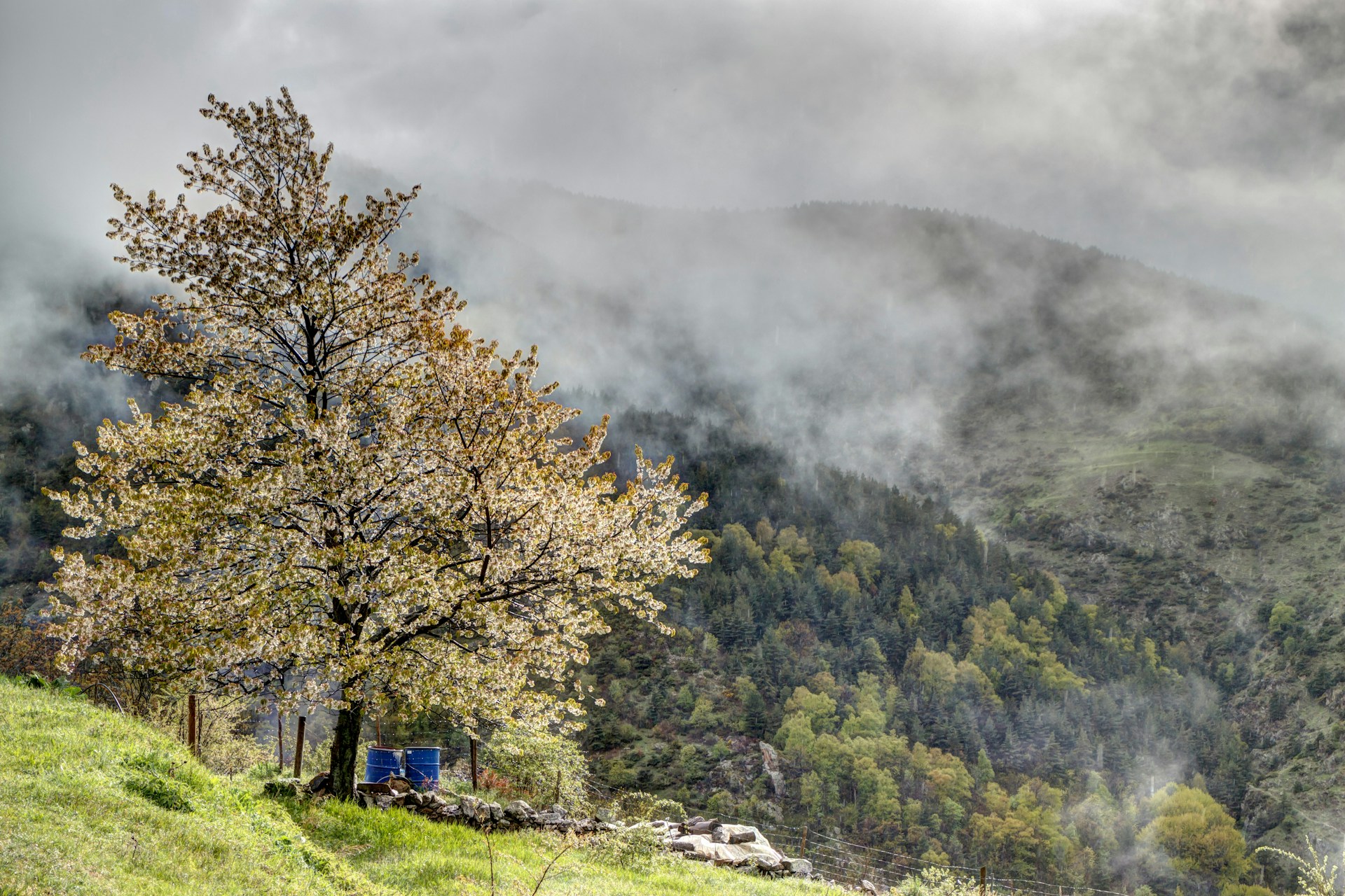 Ein Winterparadies in den katalanischen Pyrenäen: Das Refuge des Bouillouses