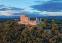 Wälder feiern, schützen, verstehen – Deutschland und Frankreich im Blick Wald_Frankreich