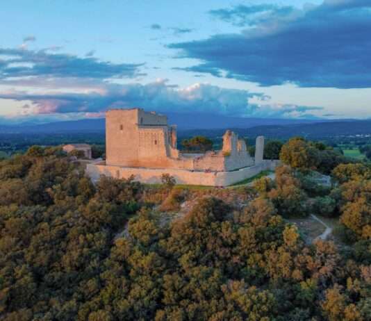 Wälder feiern, schützen, verstehen – Deutschland und Frankreich im Blick Wald_Frankreich