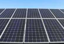 Grüne Energie zum Vorzugspreis: Wie eine Firma in Frankreich ihre Solarenergie mit den Mitarbeitenden teilt Solar_Panels_Anlage