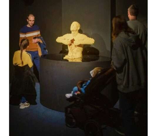 Bordeaux zeigt „The Art of the Brick“ – Wenn LEGO® zur Kunstform wird Bordeaux_The-Art-of-the-Brick-ScreenX