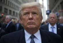 Haushaltssperre in den USA: Wenn der Staat sich selbst lahmlegt Donald_Trump_Börsen_Illustration