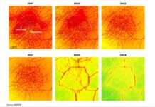 Paris atmet auf – Wie eine Stadt den Autos Lebewohl sagte Luftqualität_Paris