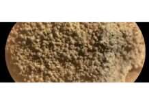 Marsrätsel mit Kugelstruktur: Was verbirgt sich hinter „St. Pauls Bay“? Mars_NASA