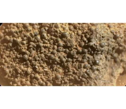 Marsrätsel mit Kugelstruktur: Was verbirgt sich hinter „St. Pauls Bay“? Mars_NASA