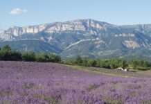 Frühling in der Drôme – Frankreichs verstecktes Paradies entdecken Montagne_de_Glandasse