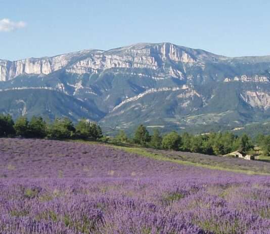 Frühling in der Drôme – Frankreichs verstecktes Paradies entdecken Montagne_de_Glandasse