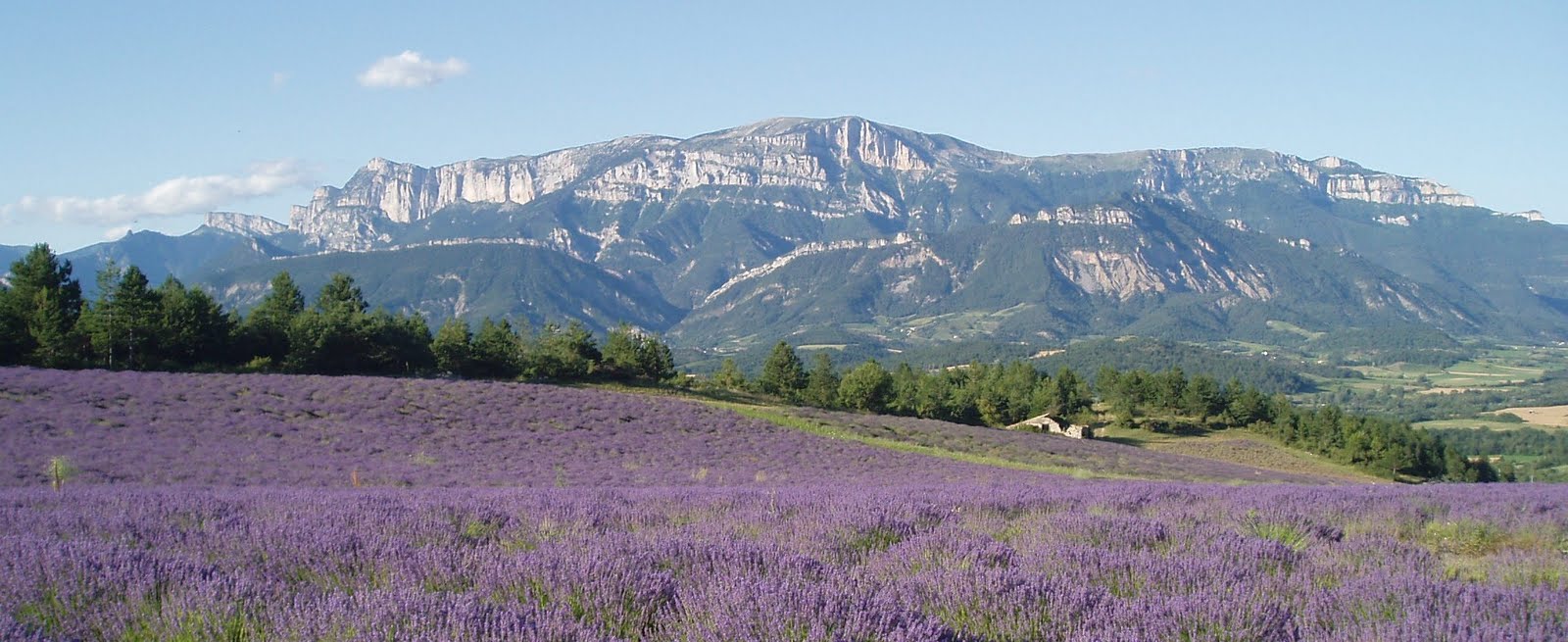 Frühling in der Drôme – Frankreichs verstecktes Paradies entdecken