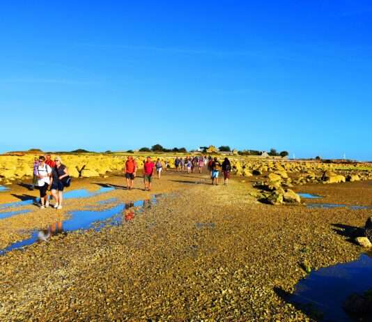 Tatihou bei Ebbe – Wenn das Meer den Weg freigibt Tatihou_Watt
