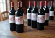 Verlustgeschäft mit Ansage: Französische Winzer schlagen Alarm wegen US-Zöllen Zölle_Wein_Export_Illustration