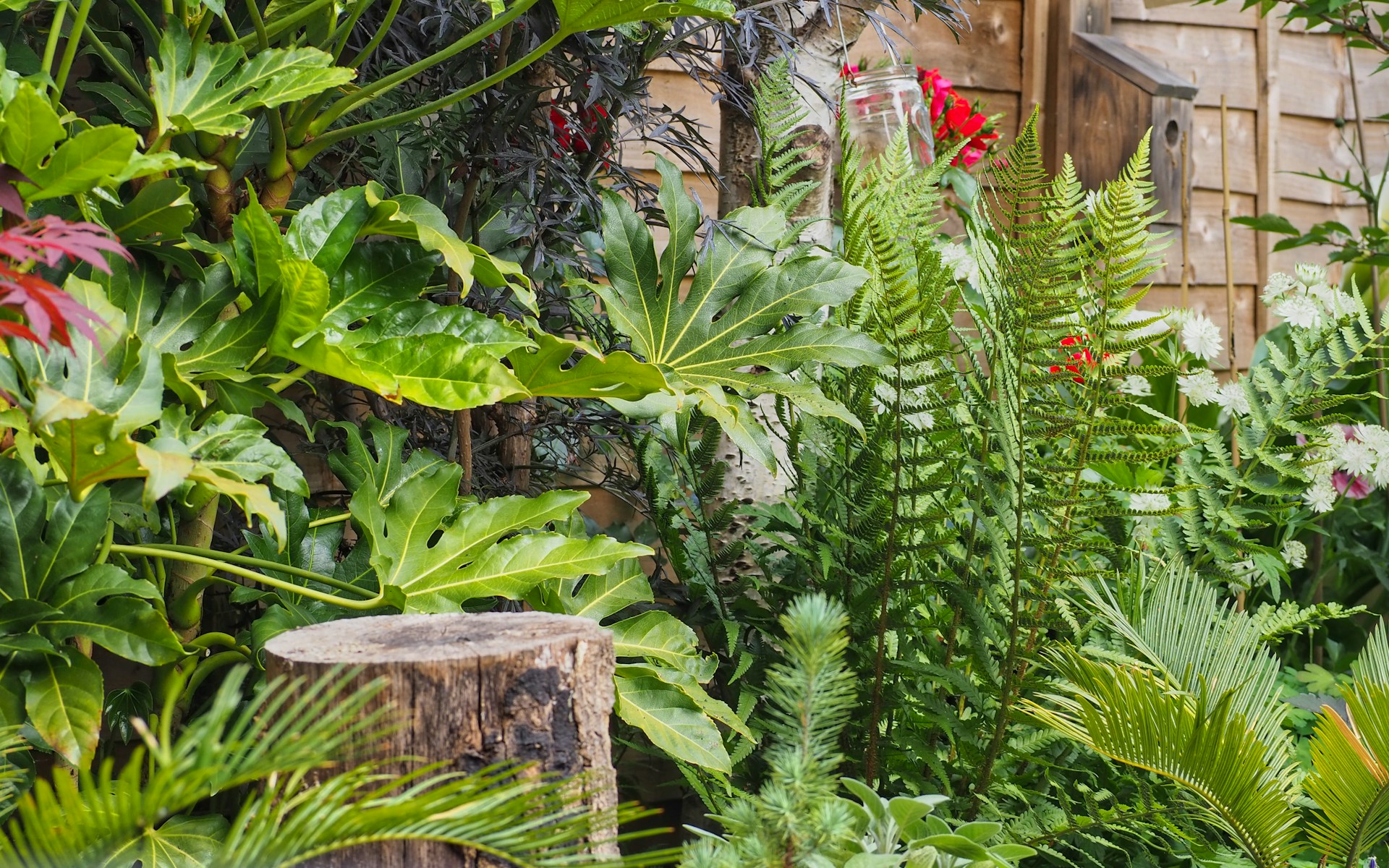 Naturoase im eigenen Garten: Sechs einfache Wege, um die Artenvielfalt zu stärken