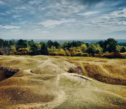 Verdun: Warum der Wald noch immer Menschen in seinen Bann zieht – mehr als 100 Jahre nach der Schlacht Verdun