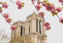 Osterferien in Paris: Frühlingsgefühle zwischen Croissants und Kultur Paris_Frühling