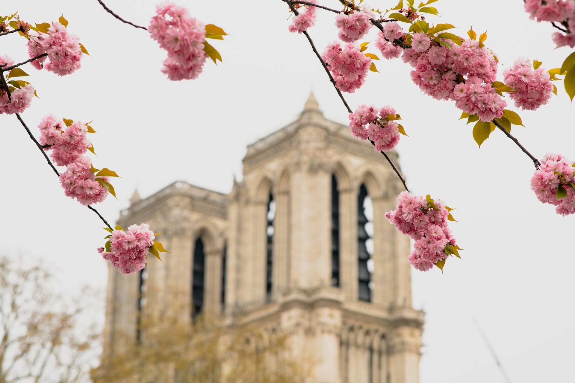 Osterferien in Paris: Frühlingsgefühle zwischen Croissants und Kultur