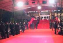 Kommentar: Goldener Glanz und große Gefühle – Cannes lebt wieder Cannes_Redcarpet