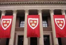 Kommentar: Wenn Harvard fällt, was kommt als Nächstes? HarvardWidenerLibrary