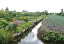 Zwischen Wasseradern und Gemüsebeeten: Das stille Herz von Amiens Hortillonnages_d'Amiens