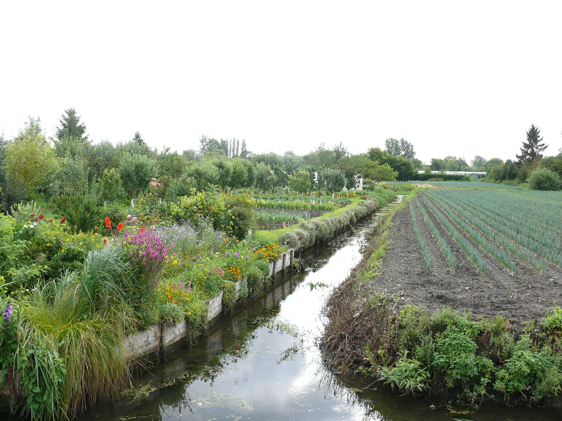 Zwischen Wasseradern und Gemüsebeeten: Das stille Herz von Amiens