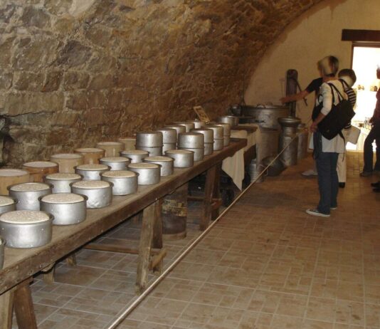 100 Jahre Roquefort: Wie ein Blauschimmelkäse zum französischen Kulturerbe wurde Musée_de_Cornus_Roquefort