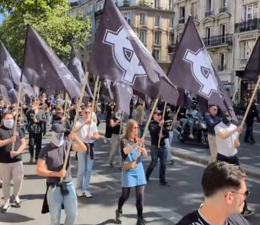 Neonazis marschierten durch Paris – Scharfe Kritik an Regierung und Justiz Neo-Nazis_Paris_ScreenX