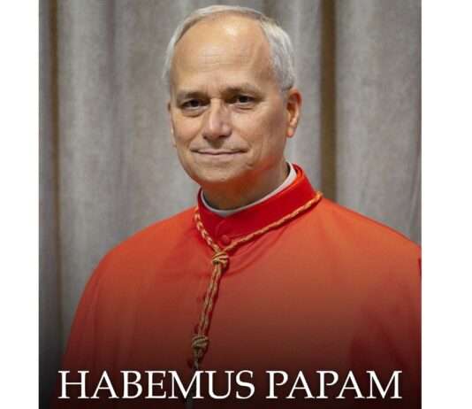 Ein Papst aus Chicago: Robert Francis Prevost führt die Kirche in eine neue Ära Papst_Leo_XIV