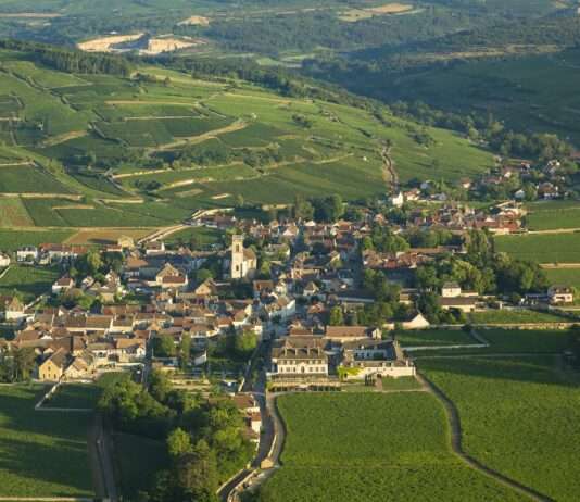 Tragödie auf dem Weinberg: Drei Bauarbeiter sterben bei einem Mauereinsturz in Pommard Pommard_Wikipedia