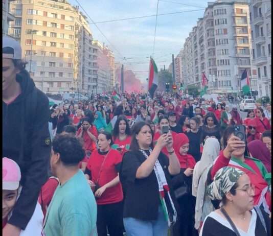 Menschenkette in Rot: Grenoble zeigt Flagge für Gaza Pro_Palästina_Grenoble_ScreenX