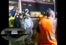 TGV-Drama im Südwesten: Wie starker Regen beinahe eine Katastrophe auslöste TGV_Evakuierung_ScreenX