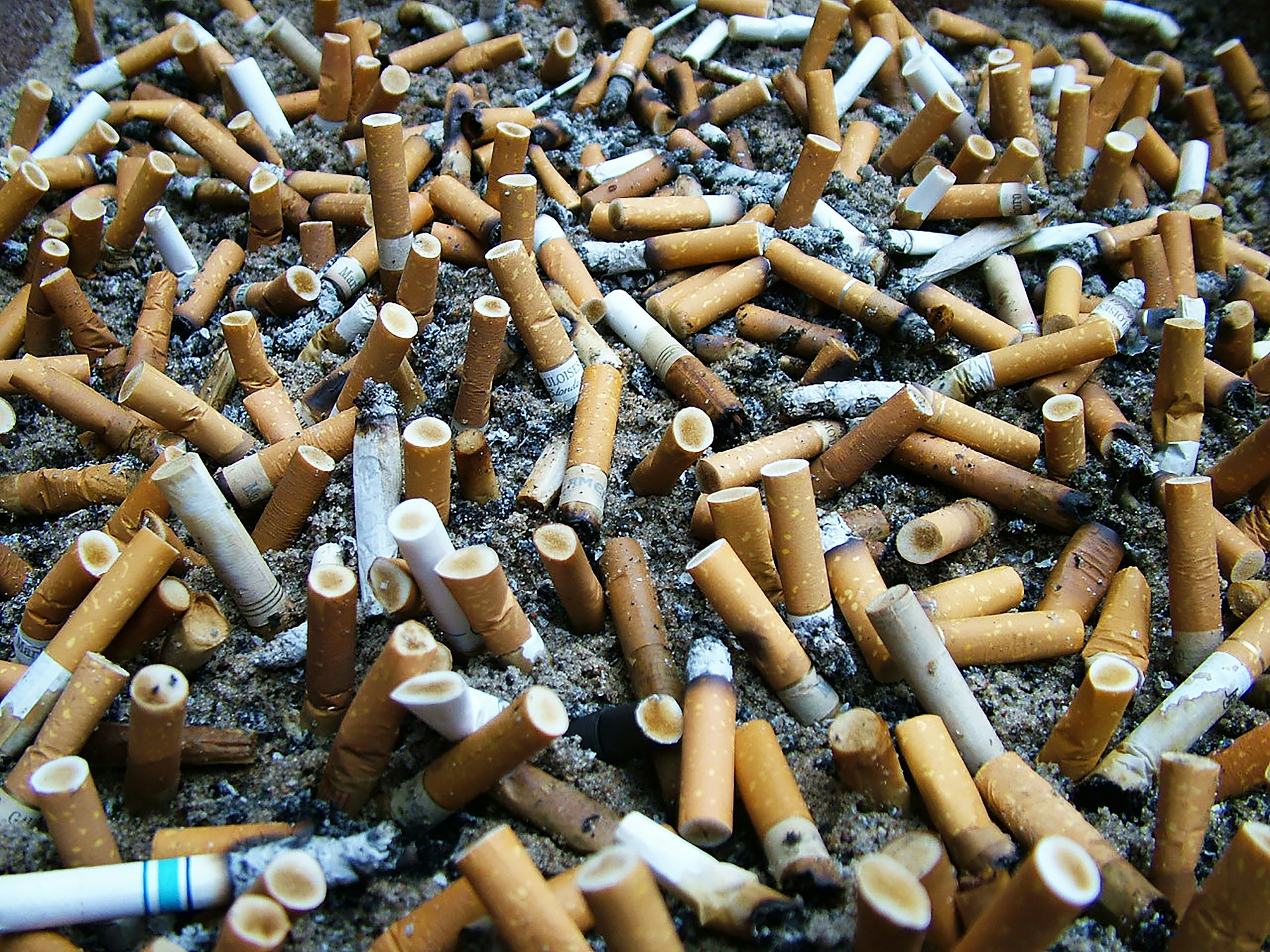 Kippen in Paris: Zehn Maßnahmen gegen die kleine große Umweltkatastrophe