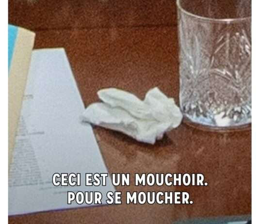 Verschwörungstheorien im Netz – Wie ein Taschentuch Macron zur Zielscheibe machte Verschwörung_Internet_Emmanuel_Macron_ScreenX