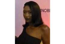 Aya Nakamura im Fadenkreuz des Hasses – und Frankreich im Spiegel seiner Identität Aya_Nakamura_Wikipedia