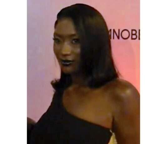 Aya Nakamura im Fadenkreuz des Hasses – und Frankreich im Spiegel seiner Identität Aya_Nakamura_Wikipedia