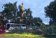 Paris im Ausnahmezustand: Gewaltige Unwetter zerstören hunderte Bäume – alle Parks geschlossen Baumschäden_Paris_Extremwetter_ScreenX