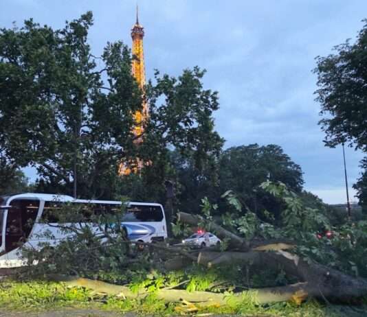 Paris im Ausnahmezustand: Gewaltige Unwetter zerstören hunderte Bäume – alle Parks geschlossen Baumschäden_Paris_Extremwetter_ScreenX