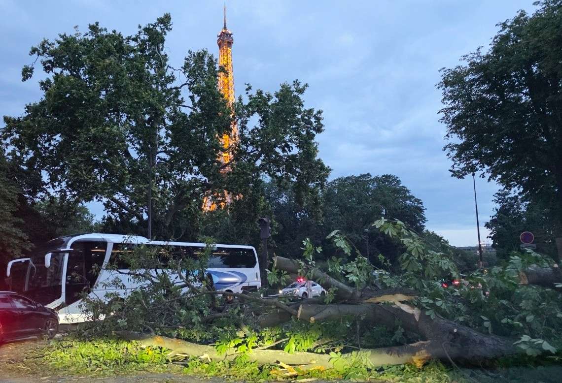 Paris im Ausnahmezustand: Gewaltige Unwetter zerstören hunderte Bäume – alle Parks geschlossen
