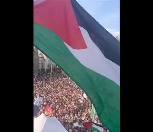 Solidarität mit Gaza: Tausende demonstrieren in Frankreich nach Blockade eines Hilfsschiffs Demonstrationen_Gaza_Paris_ScreenX
