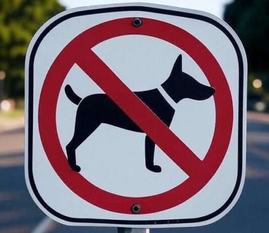 Hundeverbot auf Sommermärkten – Entscheidung in Saint-Quay-Portrieux sorgt für Zündstoff Hundeverbot_Illustration