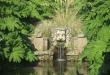 Grüne Träume am Rande der Welt: Der Jardin Botanique de Vauville JardinBotaniqueVauville-TêteDeLion