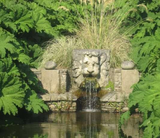 Grüne Träume am Rande der Welt: Der Jardin Botanique de Vauville JardinBotaniqueVauville-TêteDeLion
