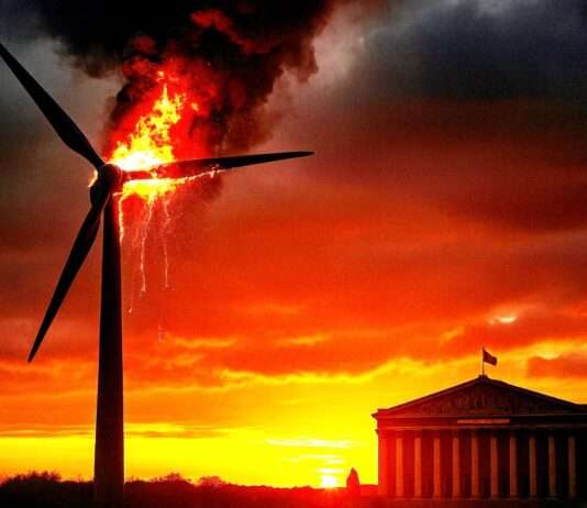 Kommentar: Moratorium zu erneuerbaren Energien – wie skrupellos kann man sein? Moratorium_Windenergie_Frankreich_Illustration