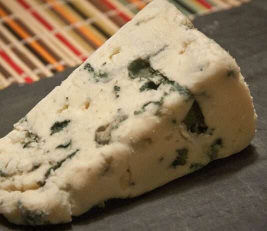 Roquefort feiert 100 Jahre AOP – ein Fest für den Käse, Kultur und Zukunft Morceau_de_Roquefort_Coulet