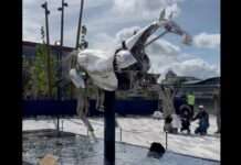 Wenn Kunst im Galopp Geschichte trifft – Zeus, das mechanische Olympiapferd, erobert den Mont-Saint-Michel Olympia-Pferd_Zeus_ScreenX