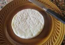 Kleiner Käse, große Geschichte – Wie der Pérail dem Larzac neues Leben einhaucht Pérail