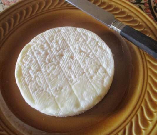 Kleiner Käse, große Geschichte – Wie der Pérail dem Larzac neues Leben einhaucht Pérail